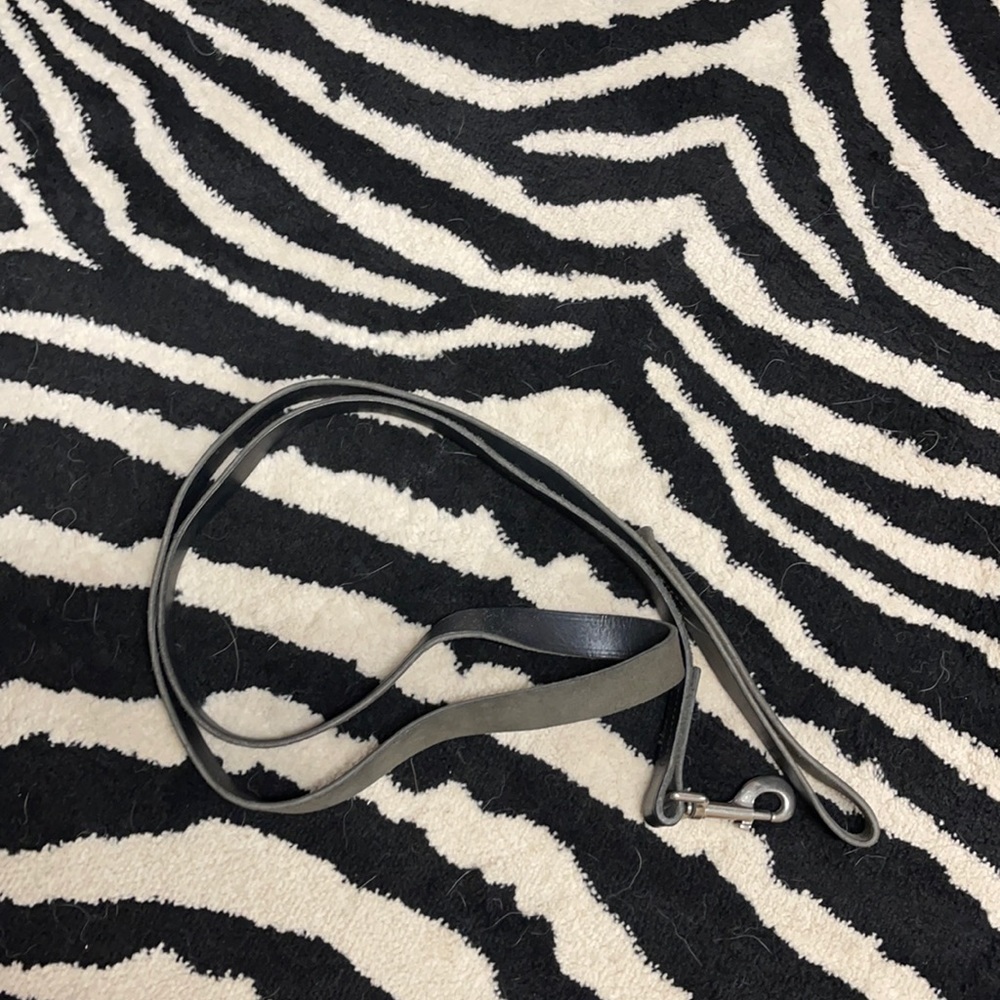 6’ Dog Leash